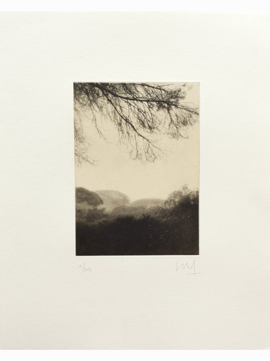 Ruido del agua VIII (2025) - Juan Lara [35 x 28 cm]