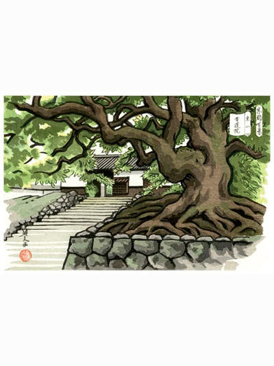 Templo Shoren-in - Masao Ido (1945-2016) // [36.5x24.5cm]
