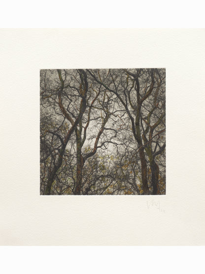 Secret Corners V (2025) - Juan Lara [27,5 x 26 cm]