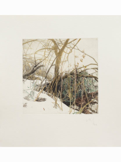 Secret Corners XI (2025) - Juan Lara [27,5 x 26 cm]