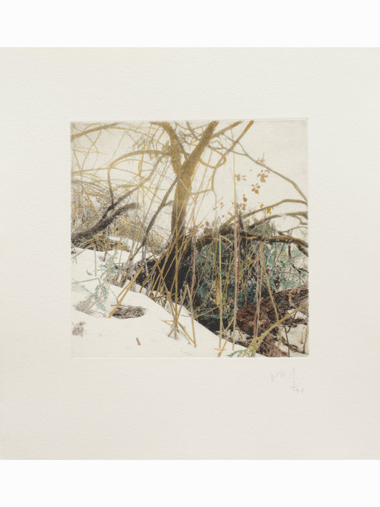 Secret Corners XI (2025) - Juan Lara [27,5 x 26 cm]