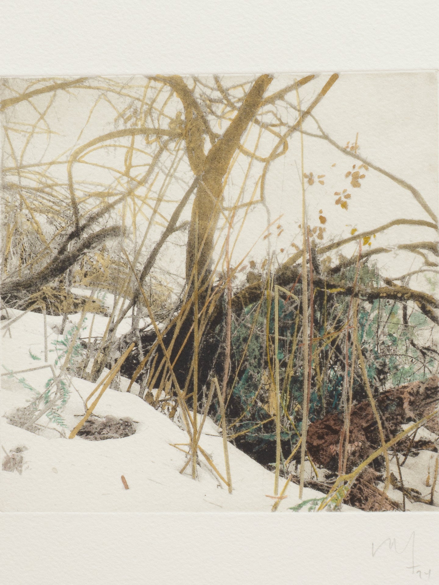 Secret Corners XI (2025) - Juan Lara [27,5 x 26 cm]