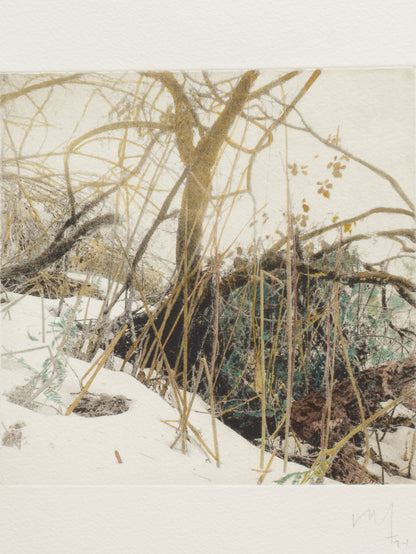 Secret Corners XI (2025) - Juan Lara [27,5 x 26 cm]