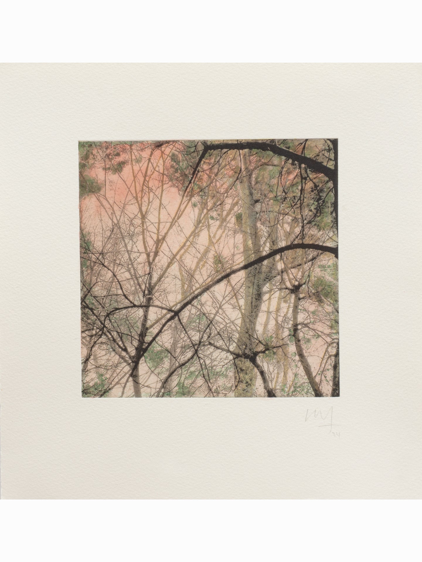 Secret Corners XII (2025) - Juan Lara [27,5 x 26 cm]