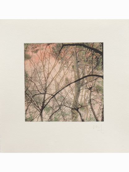 Secret Corners XII (2025) - Juan Lara [27,5 x 26 cm]