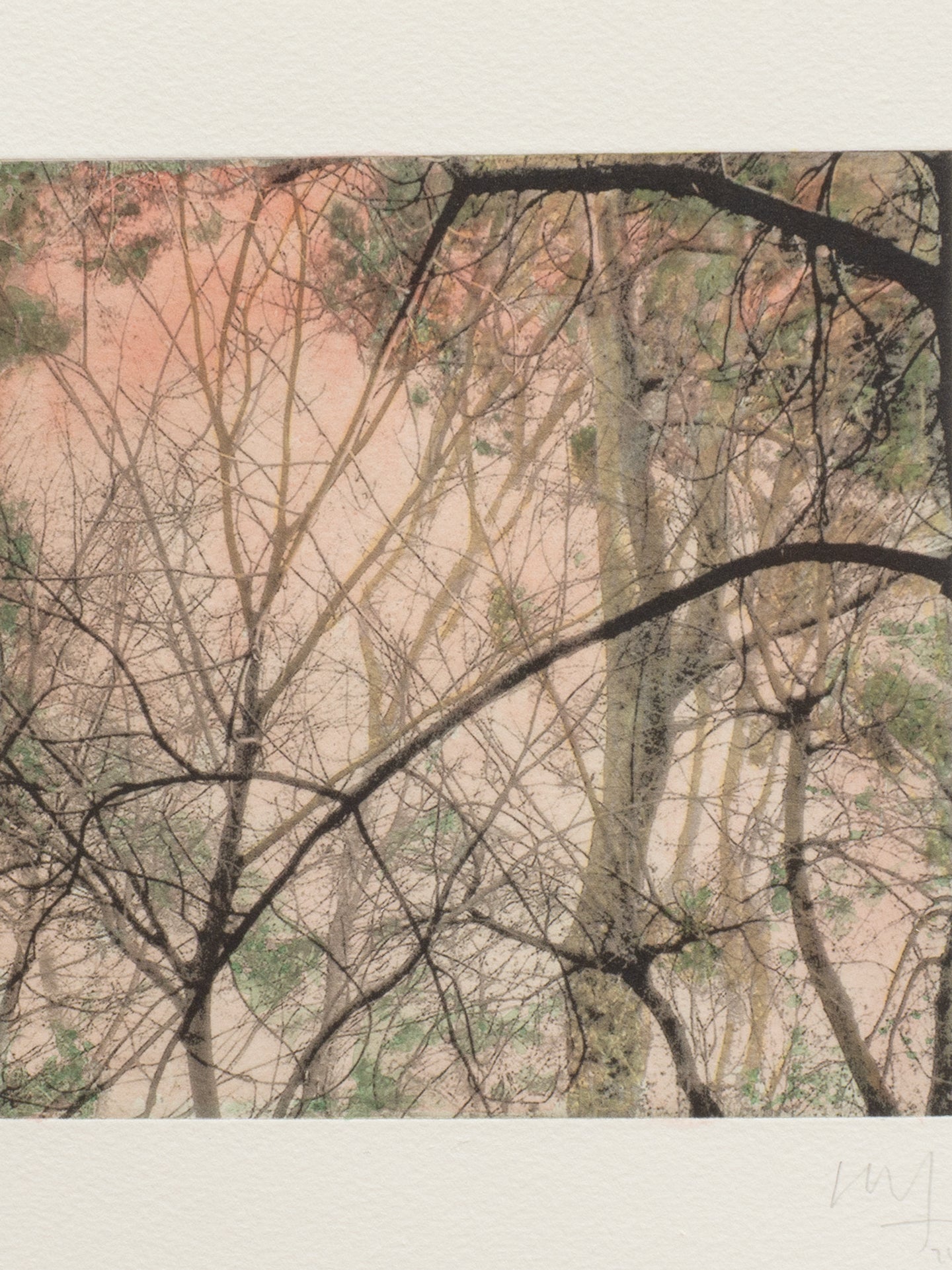 Secret Corners XII (2025) - Juan Lara [27,5 x 26 cm]