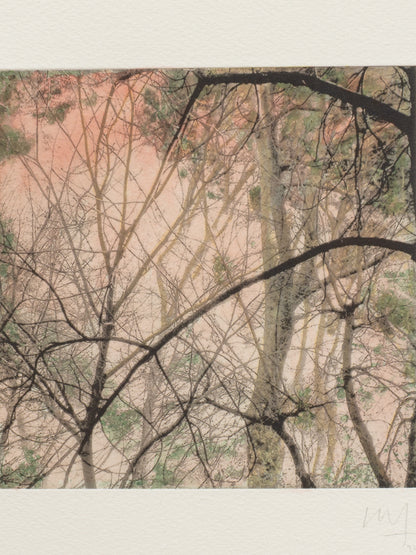 Secret Corners XII (2025) - Juan Lara [27,5 x 26 cm]