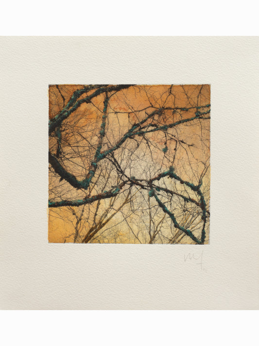 Secret Corners XIII (2025) - Juan Lara [27,5 x 26 cm]