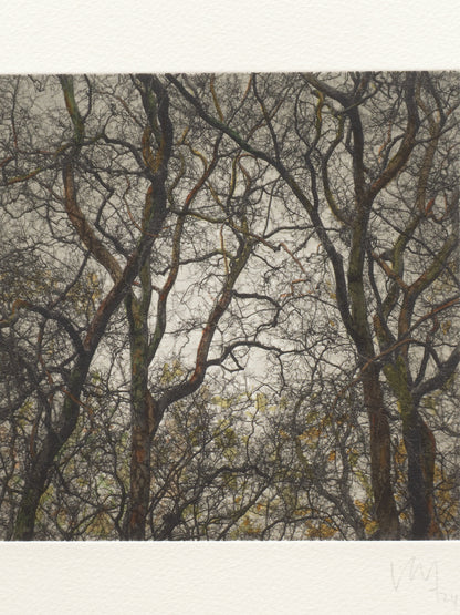 Secret Corners V (2025) - Juan Lara [27,5 x 26 cm]