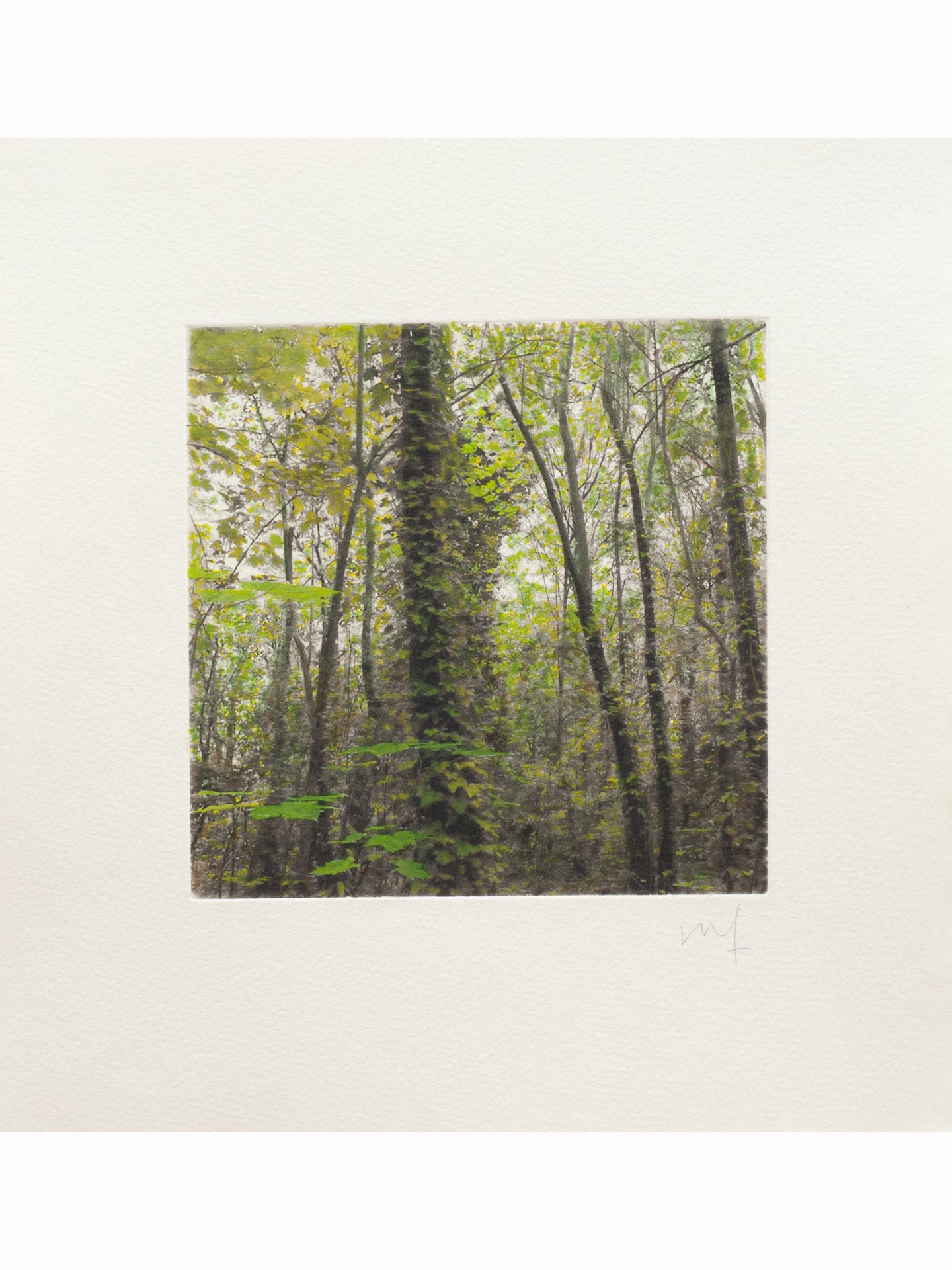 Secret Corners II (2025) - Juan Lara [27,5 x 26 cm]