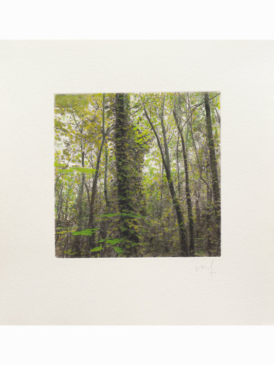 Secret Corners II (2025) - Juan Lara [27,5 x 26 cm]