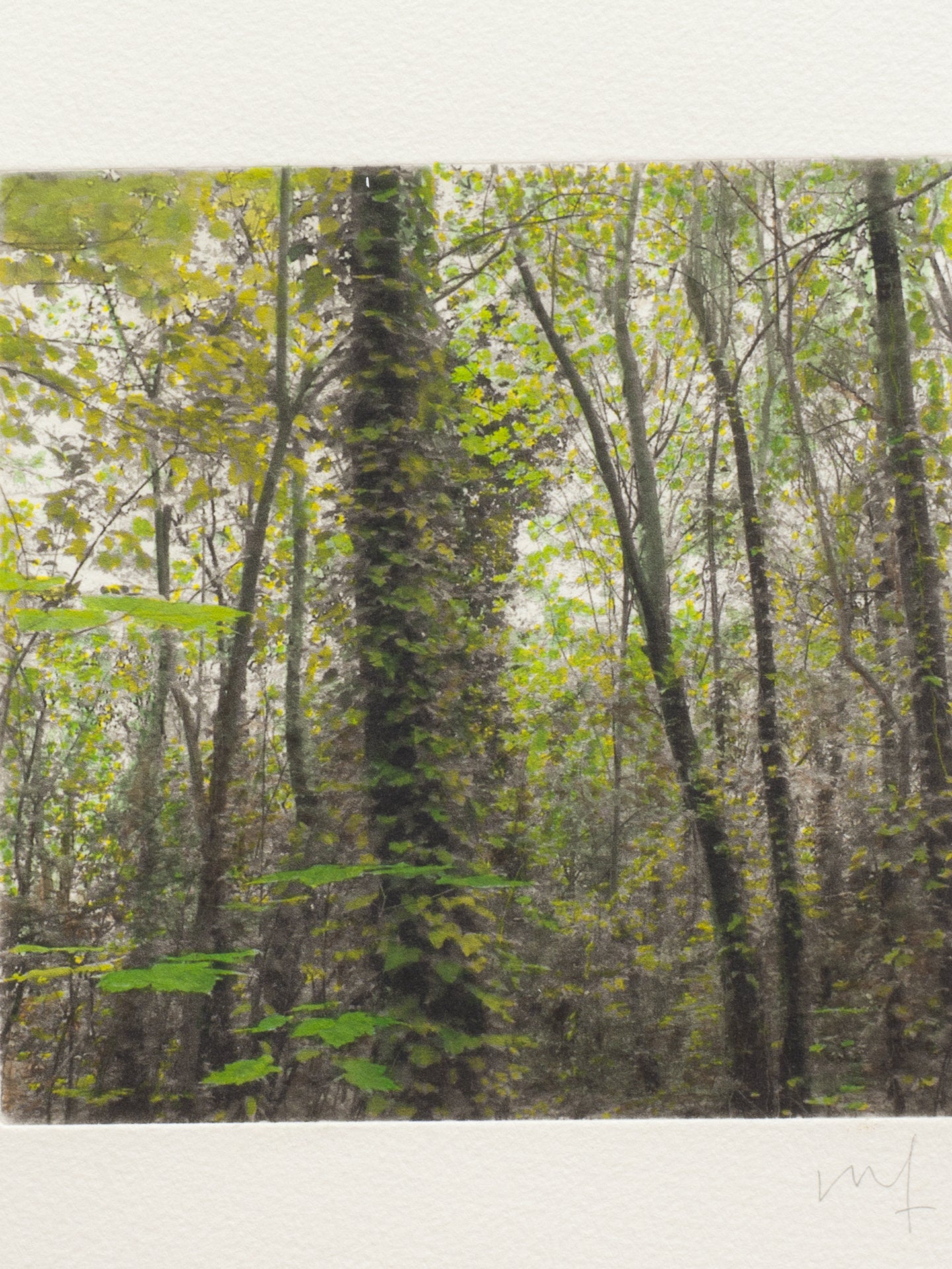 Secret Corners II (2025) - Juan Lara [27,5 x 26 cm]
