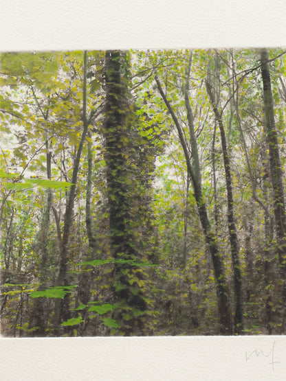 Secret Corners II (2025) - Juan Lara [27,5 x 26 cm]