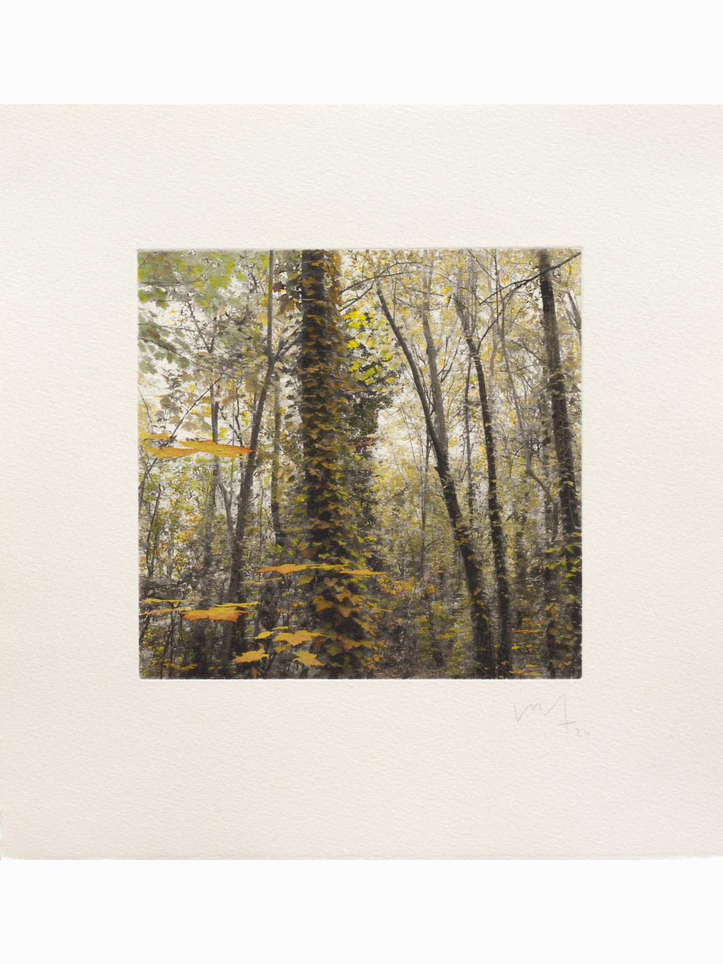 Secret Corners III (2025) - Juan Lara [27,5 x 26 cm]