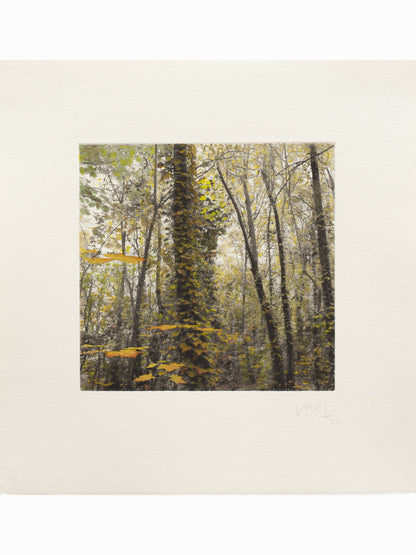 Secret Corners III (2025) - Juan Lara [27,5 x 26 cm]