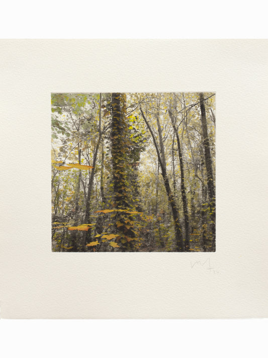 Secret Corners III (2025) - Juan Lara [27,5 x 26 cm]