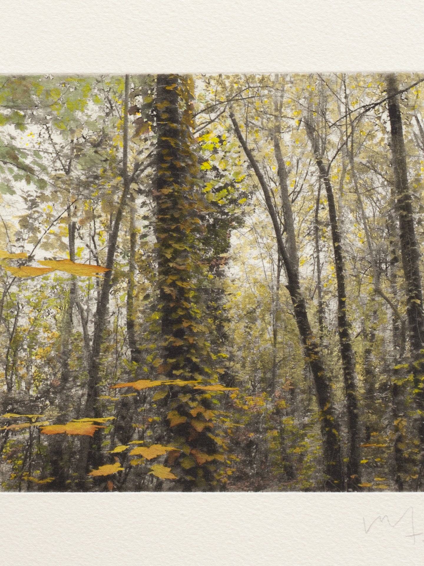 Secret Corners III (2025) - Juan Lara [27,5 x 26 cm]