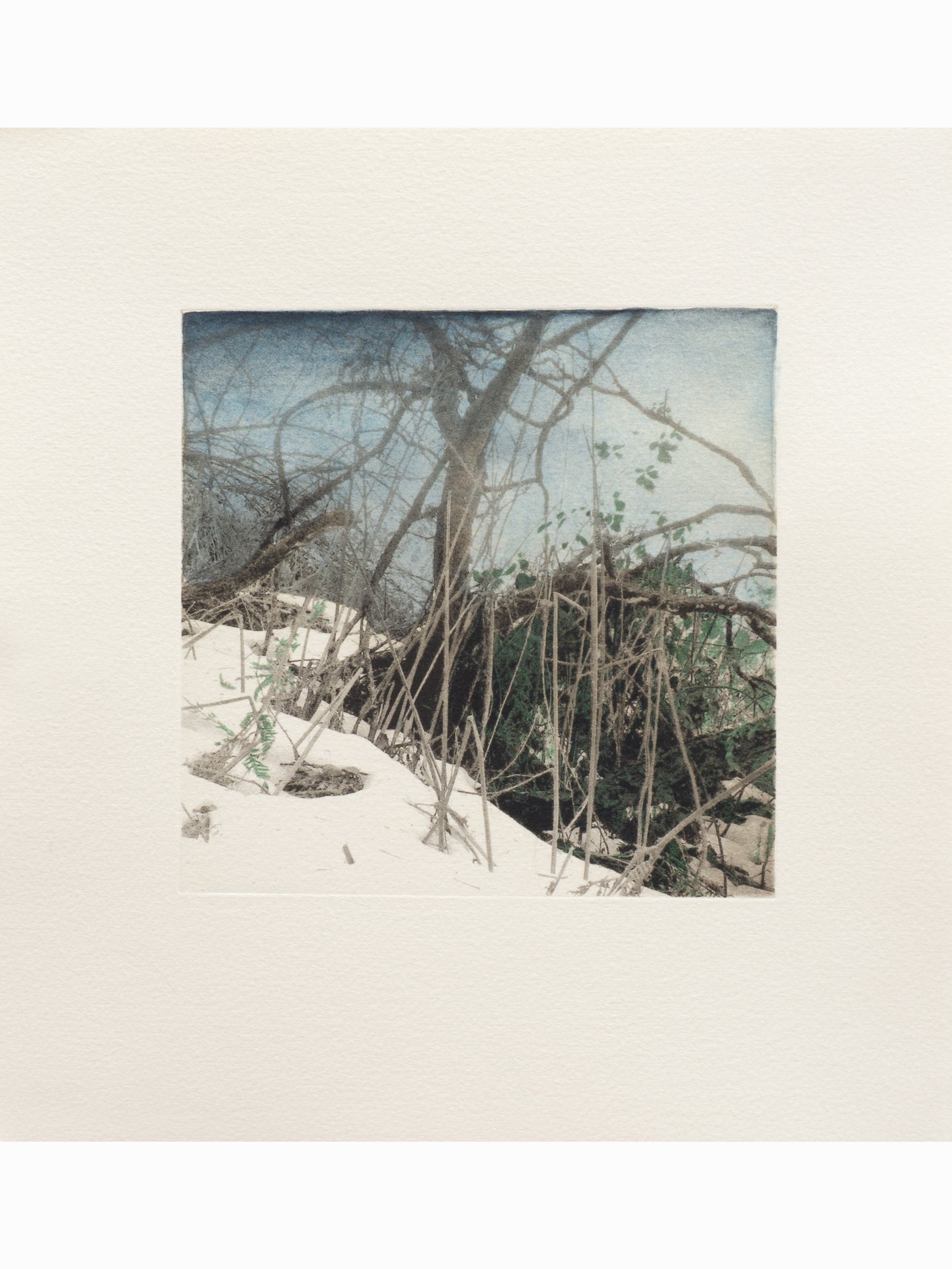 Secret Corners VI (2025) - Juan Lara [27,5 x 26 cm]