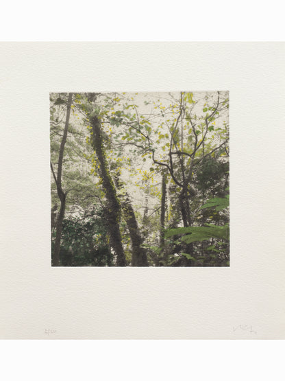 Secret Corners VII (2025) - Juan Lara [27,5 x 26 cm]