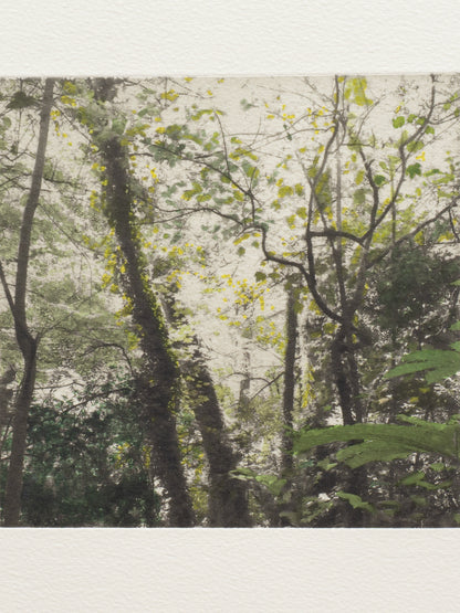 Secret Corners VII (2025) - Juan Lara [27,5 x 26 cm]