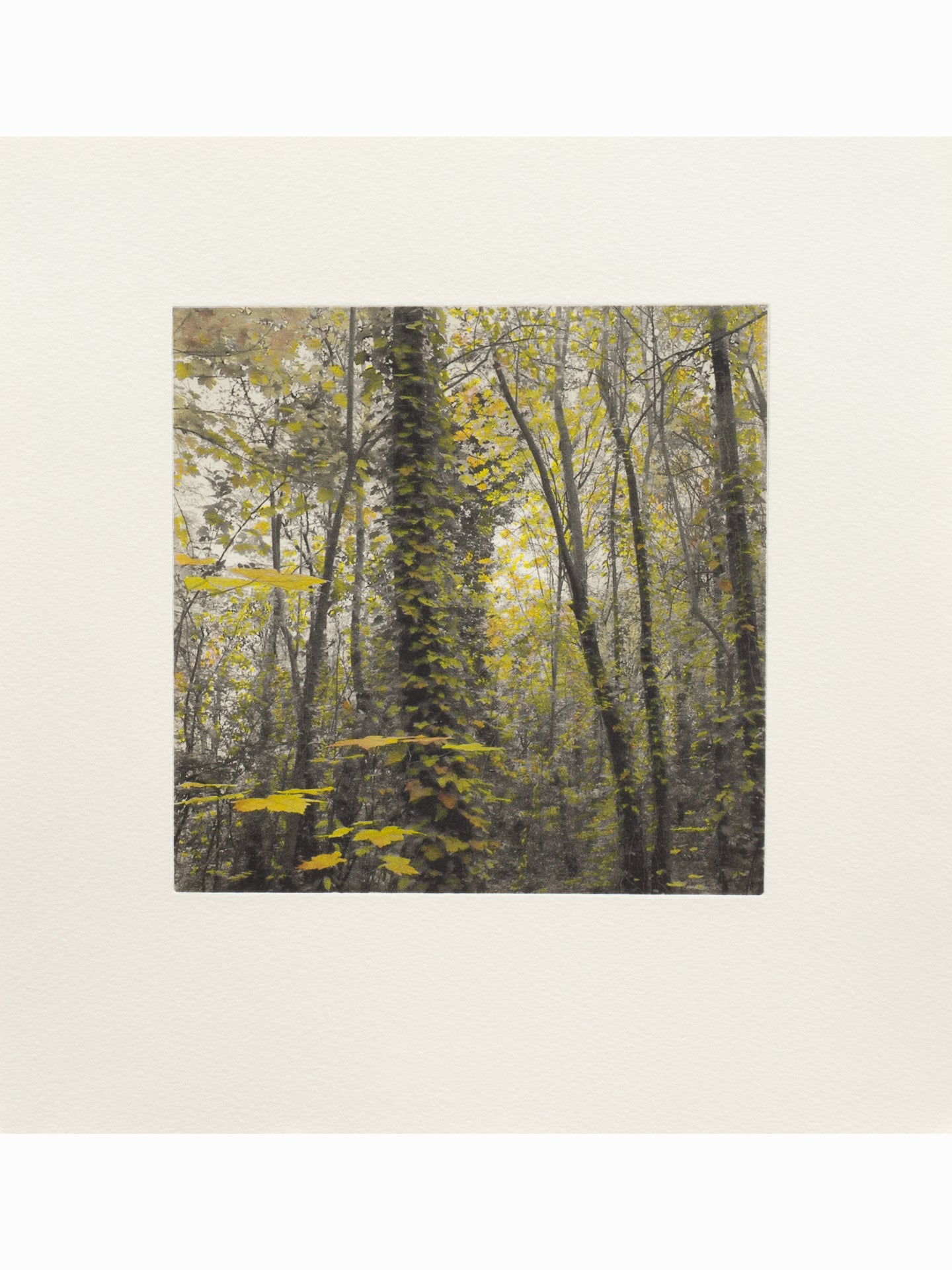Secret Corners IV (2025) - Juan Lara [27,5 x 26 cm]