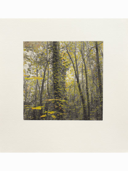 Secret Corners IV (2025) - Juan Lara [27,5 x 26 cm]