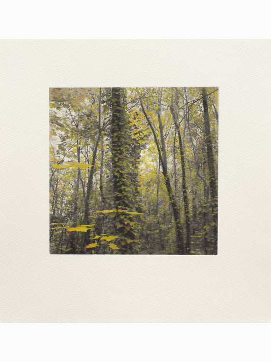 Secret Corners IV (2025) - Juan Lara [27,5 x 26 cm]