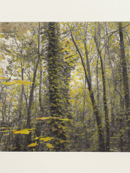 Secret Corners IV (2025) - Juan Lara [27,5 x 26 cm]