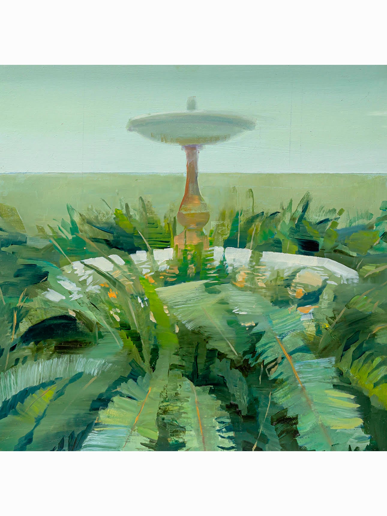 Fuente de los helechos (2024) - Carmen montero [40x40 cm]