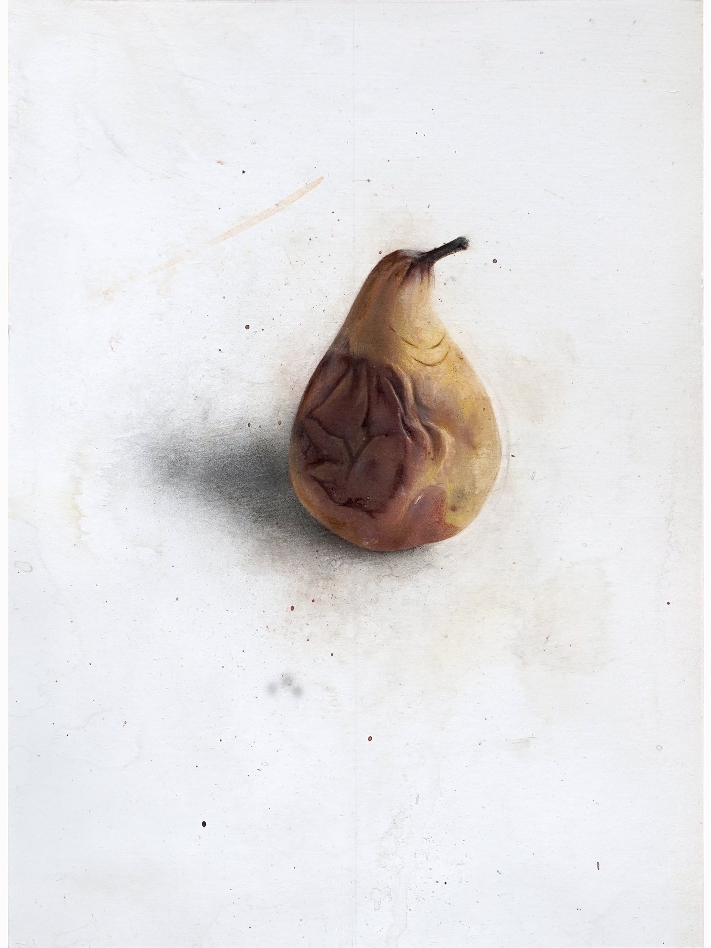 La podrida II (2024) - Gen Isoe [30 x 22 cm]