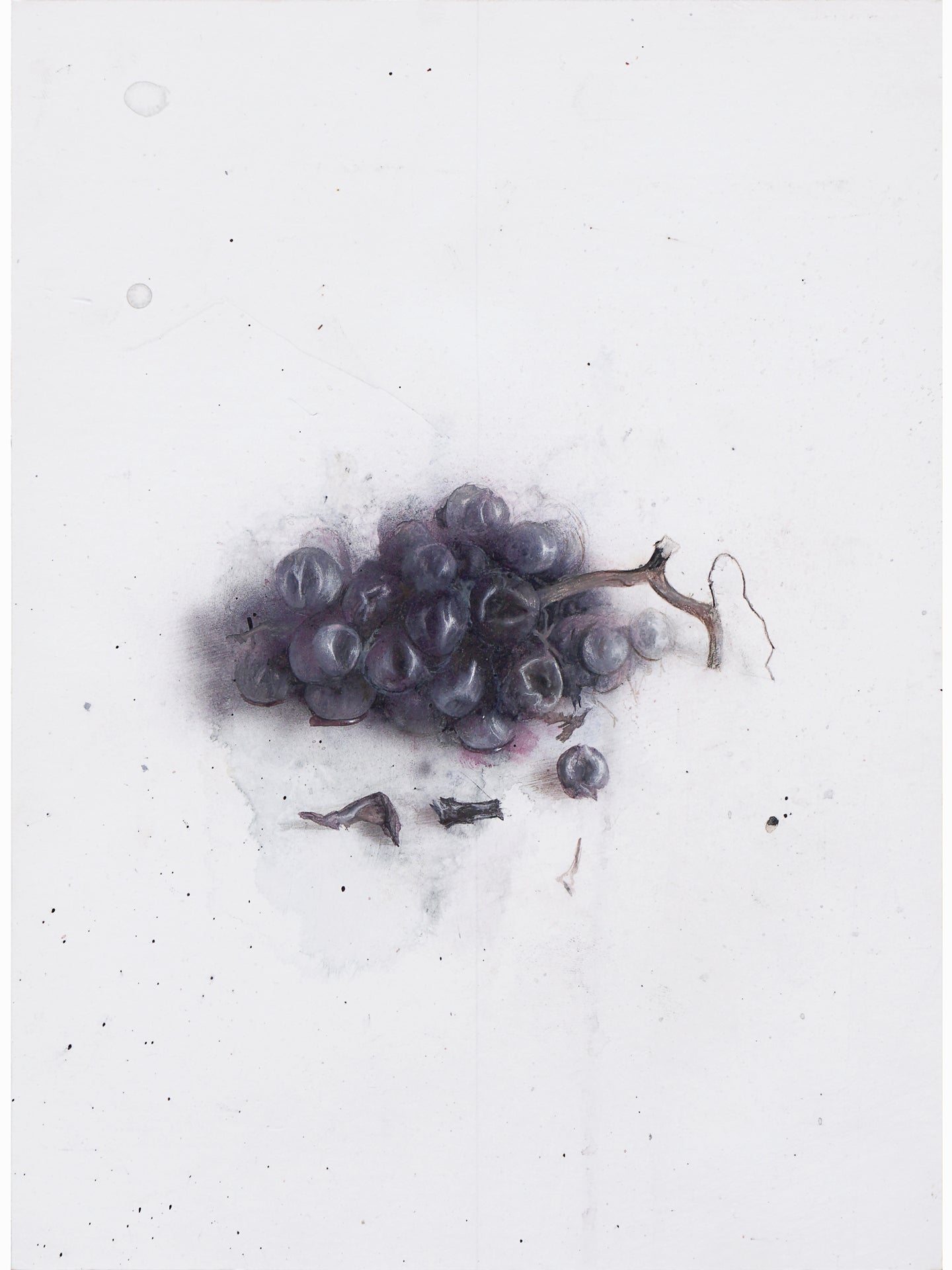 La podrida VI (2024) - Gen Isoe [30 x 22 cm]