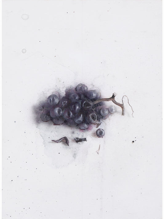 La podrida VI (2024) - Gen Isoe [30 x 22 cm]