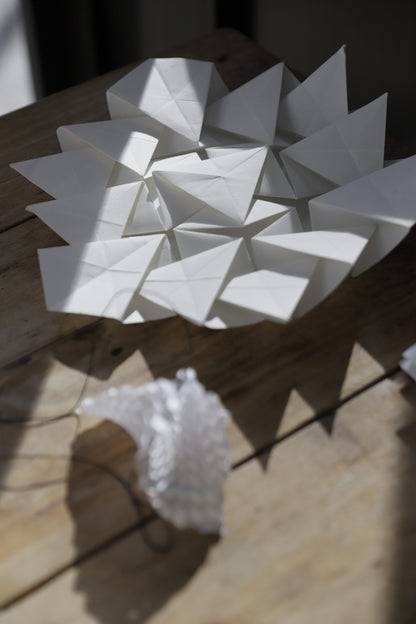 Taller Origami - Pedro Núñez