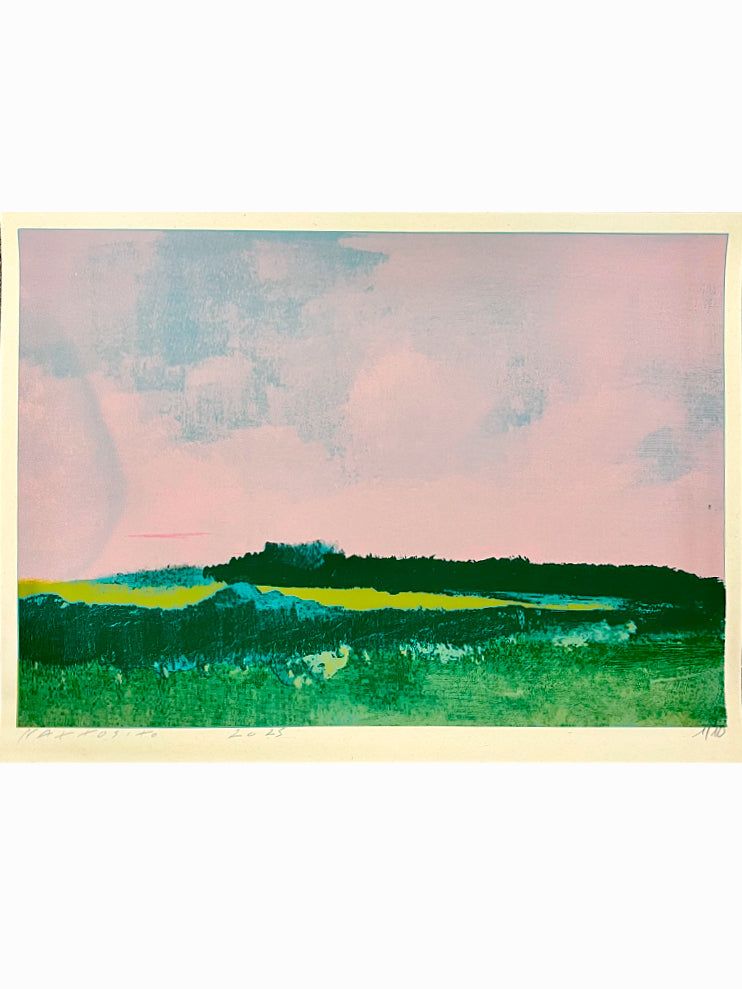Marais de Bai de Somme II (2025) - Nattosito [40 x 30 cm]