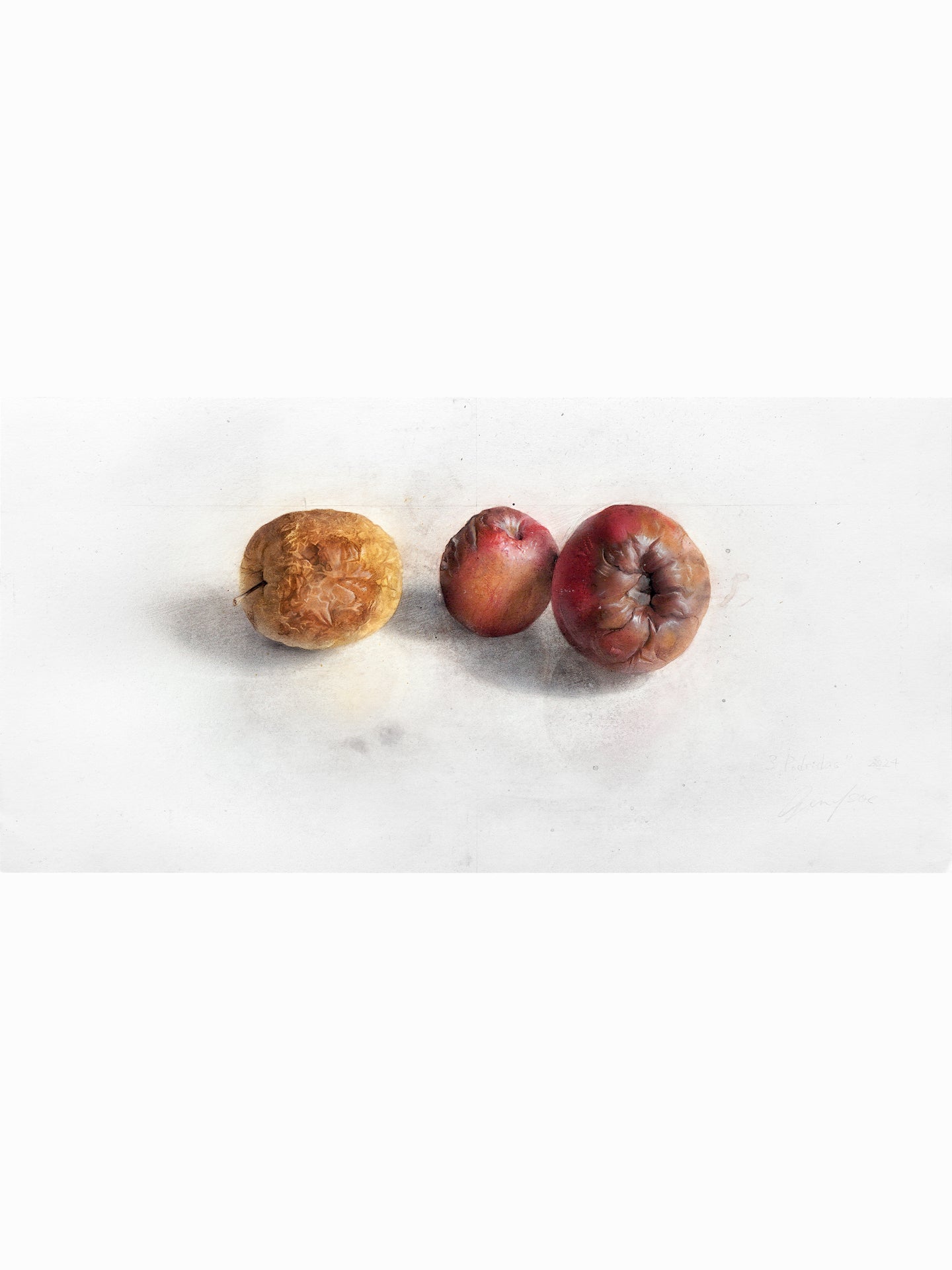 Las tres podridas (2024) - Gen Isoe [23,5 x 46 cm]