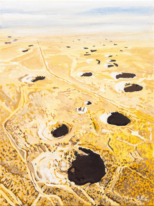 Yucca Flat II (2026) - Sergio Frutos [40 x 30 cm]